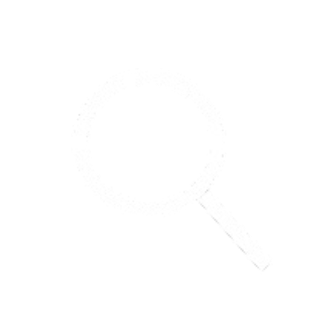 Zoom Icon